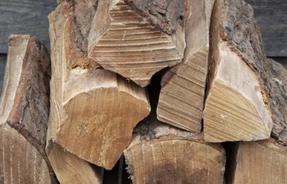 Maple firewood