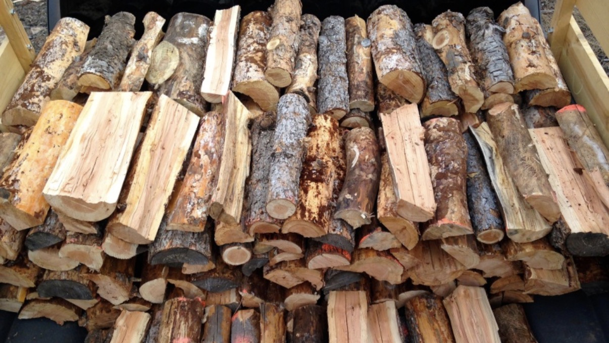 Pine firewood