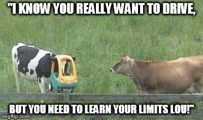 Limits Lou