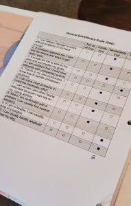 General Self-Efficacy Scale (GSE)
