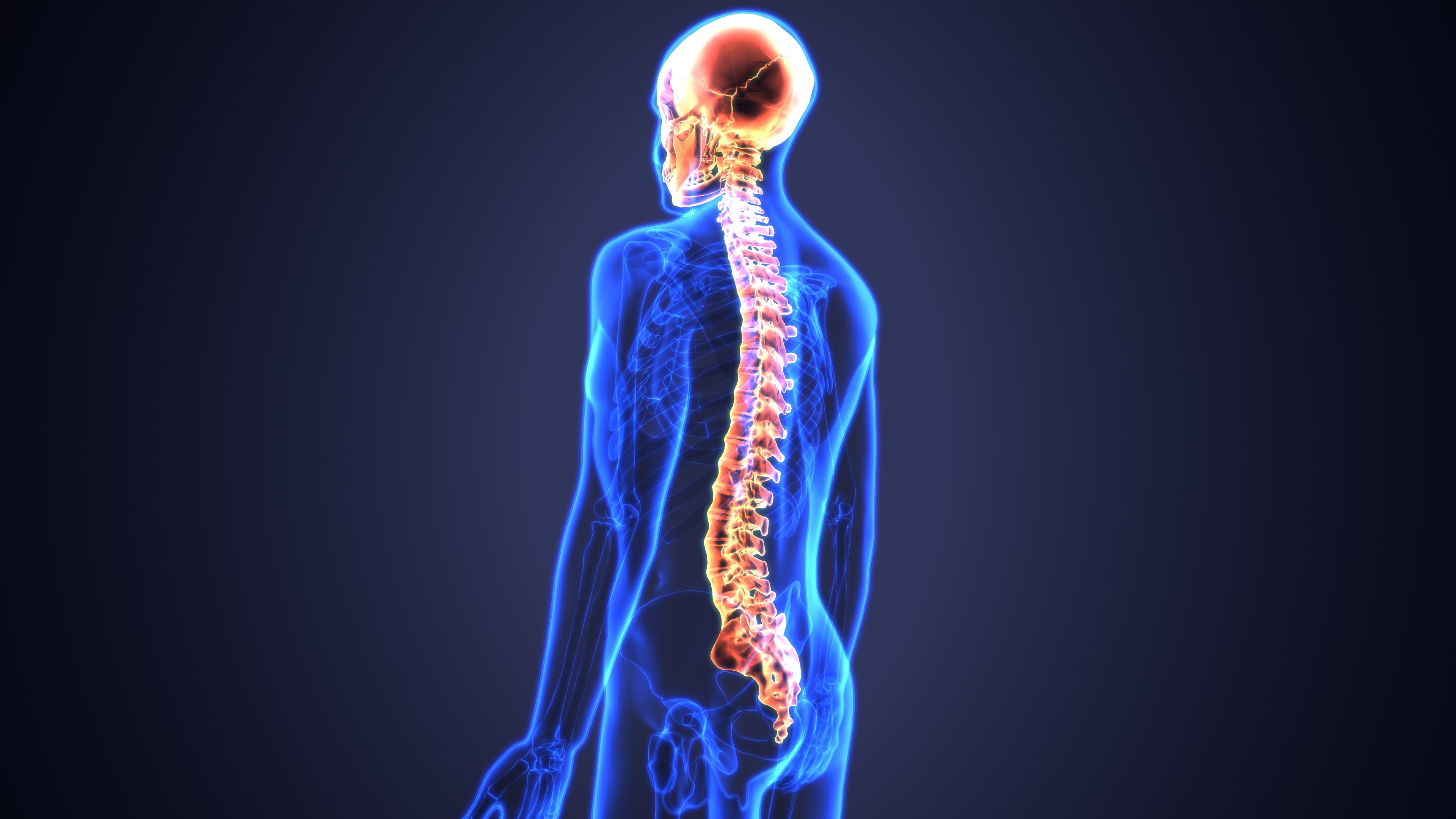 Spinal Cord Injuries