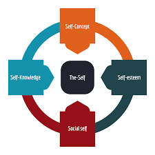 Image result for the self concept