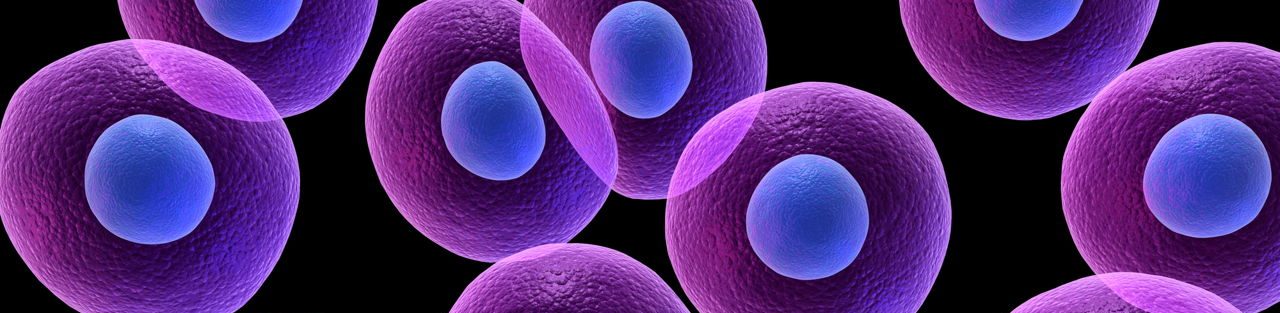 Cell Biology