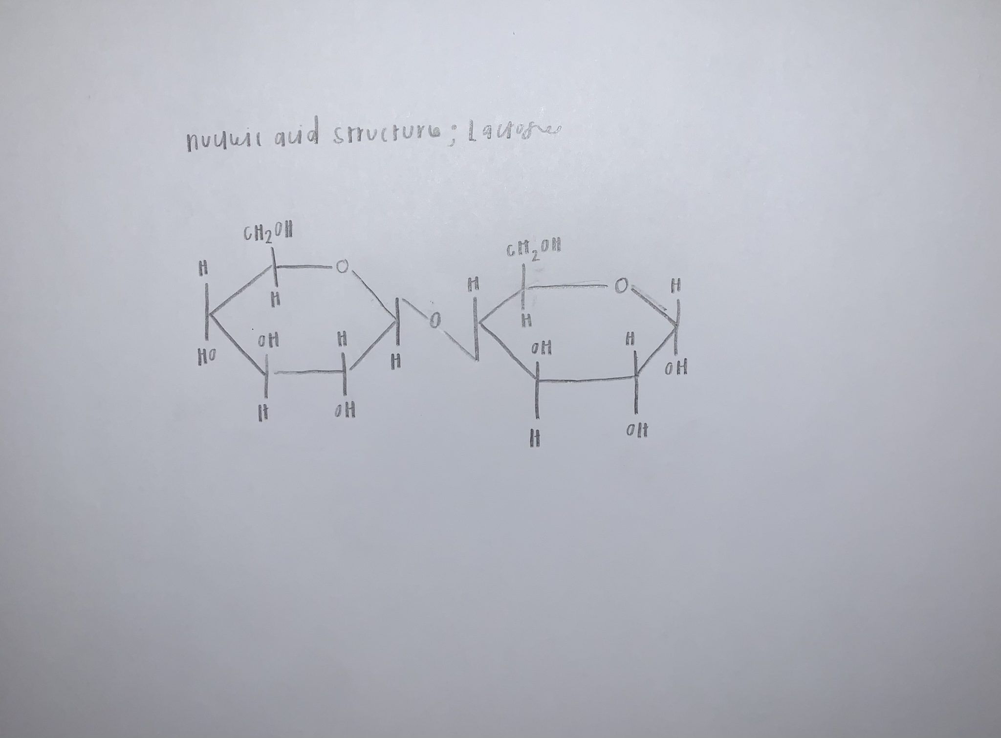 draw a biomolecule! Danielle Wolcott