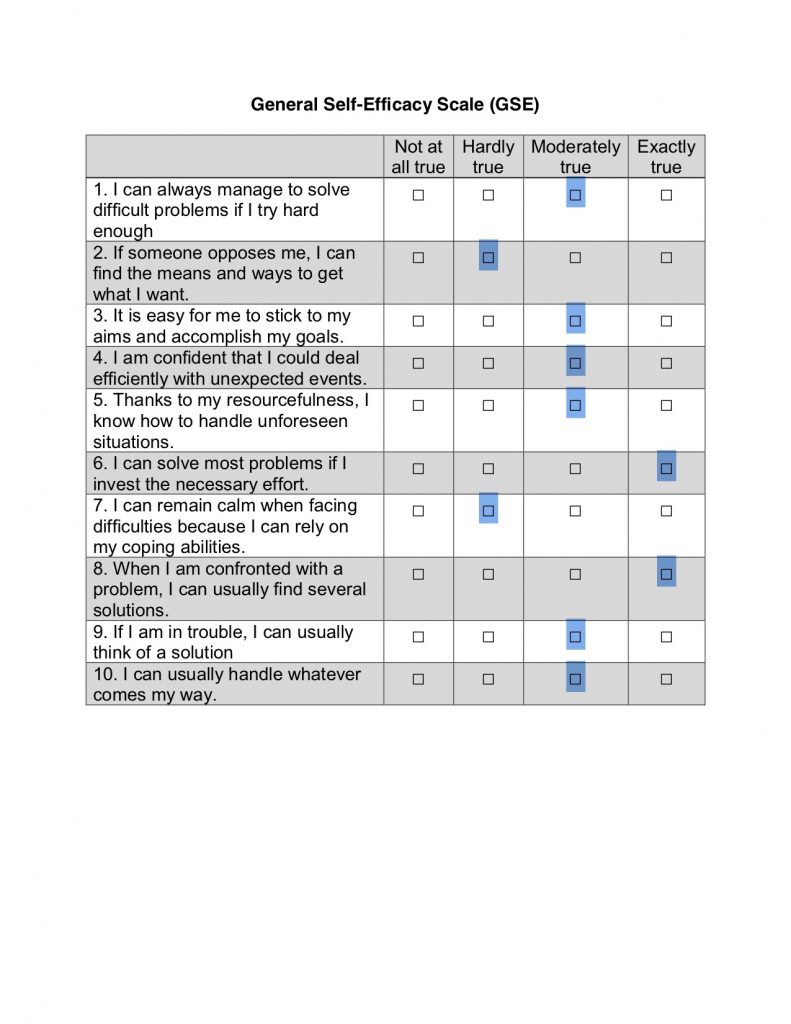 My Self-Efficacy Scale
