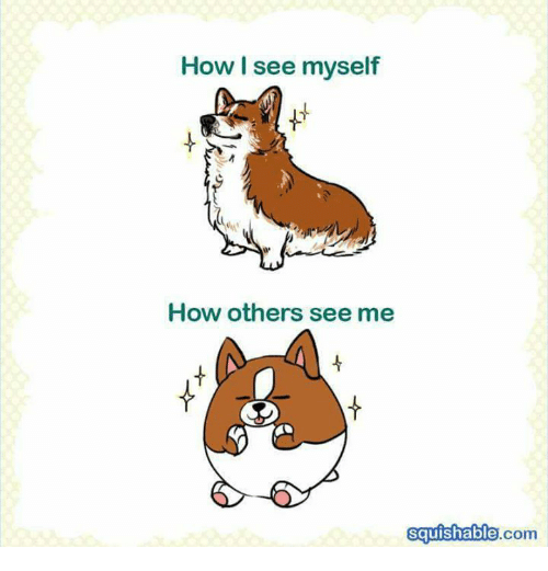 https://me.me/i/how-i-see-myself-how-others-see-me-squishable-com-8160330