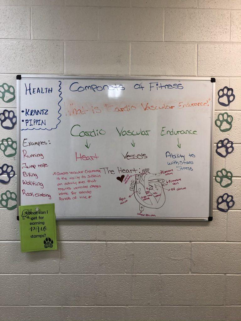 This was a board i made in the entrance of the girls locker room about the topic they were covering in health, cardio Vascular Endurance, which is one of the 5 components of fitness.