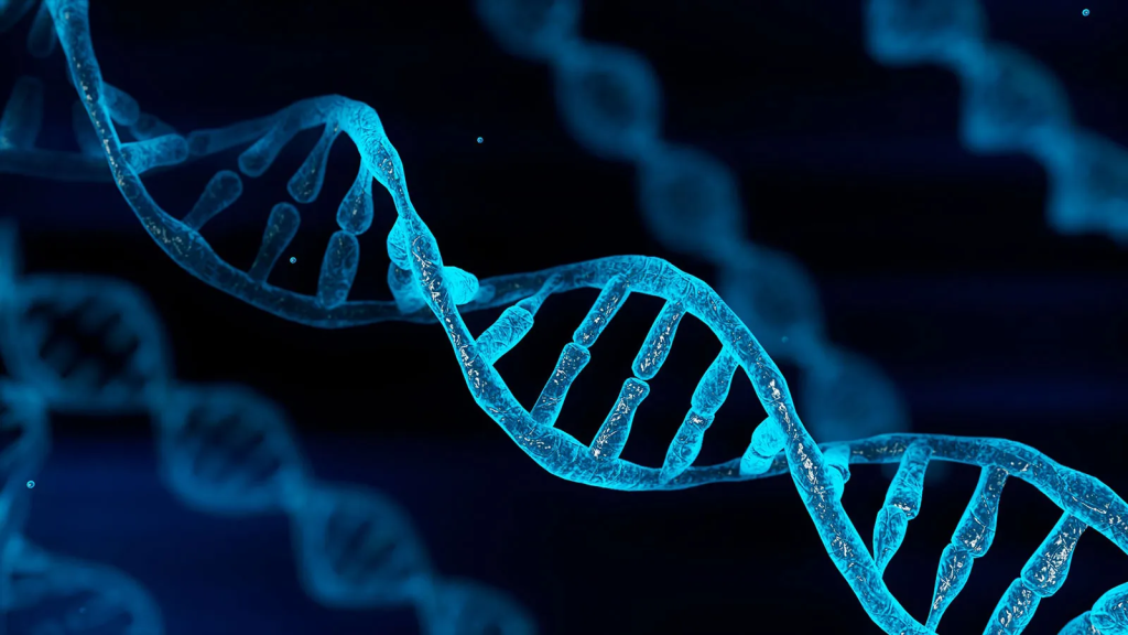 https://cdn.britannica.com/32/234732-050-0E5E77CA/DNA-strands-concept-illustration.jpg