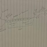 Neuron/Nerve Cell