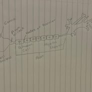 Neuron/Nerve Cell