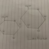 Biomolecule