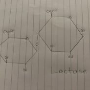 Biomolecule