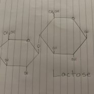 Biomolecule