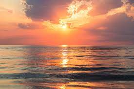 If the Sun Rises From the West. What would happen if the earth started… | by Sharika Hafeez | The Startup | Medium