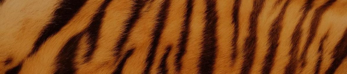 kalesportblog ⋆｡°✩