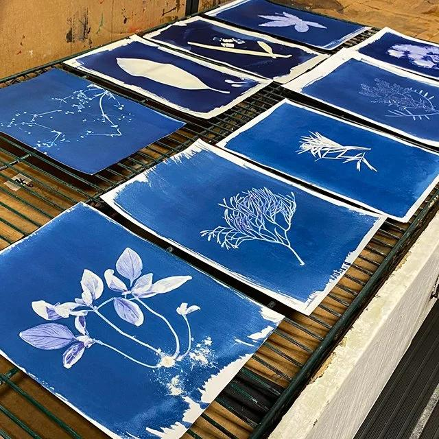 Finished cyanotype drying