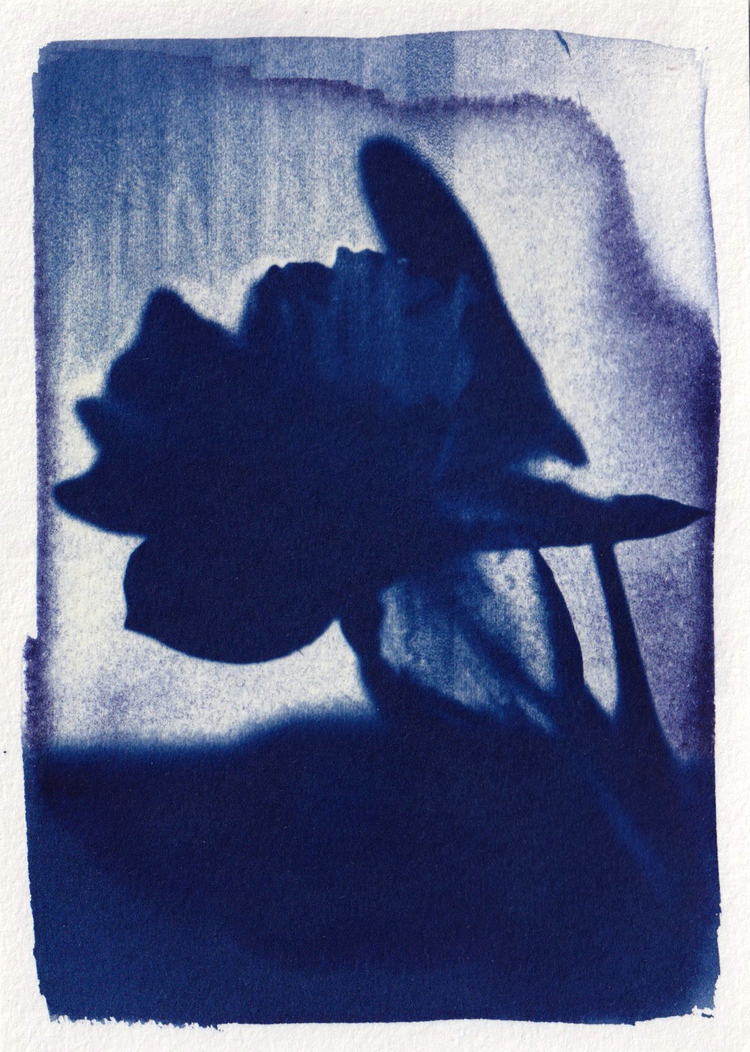 Cyanotype artwork example 4