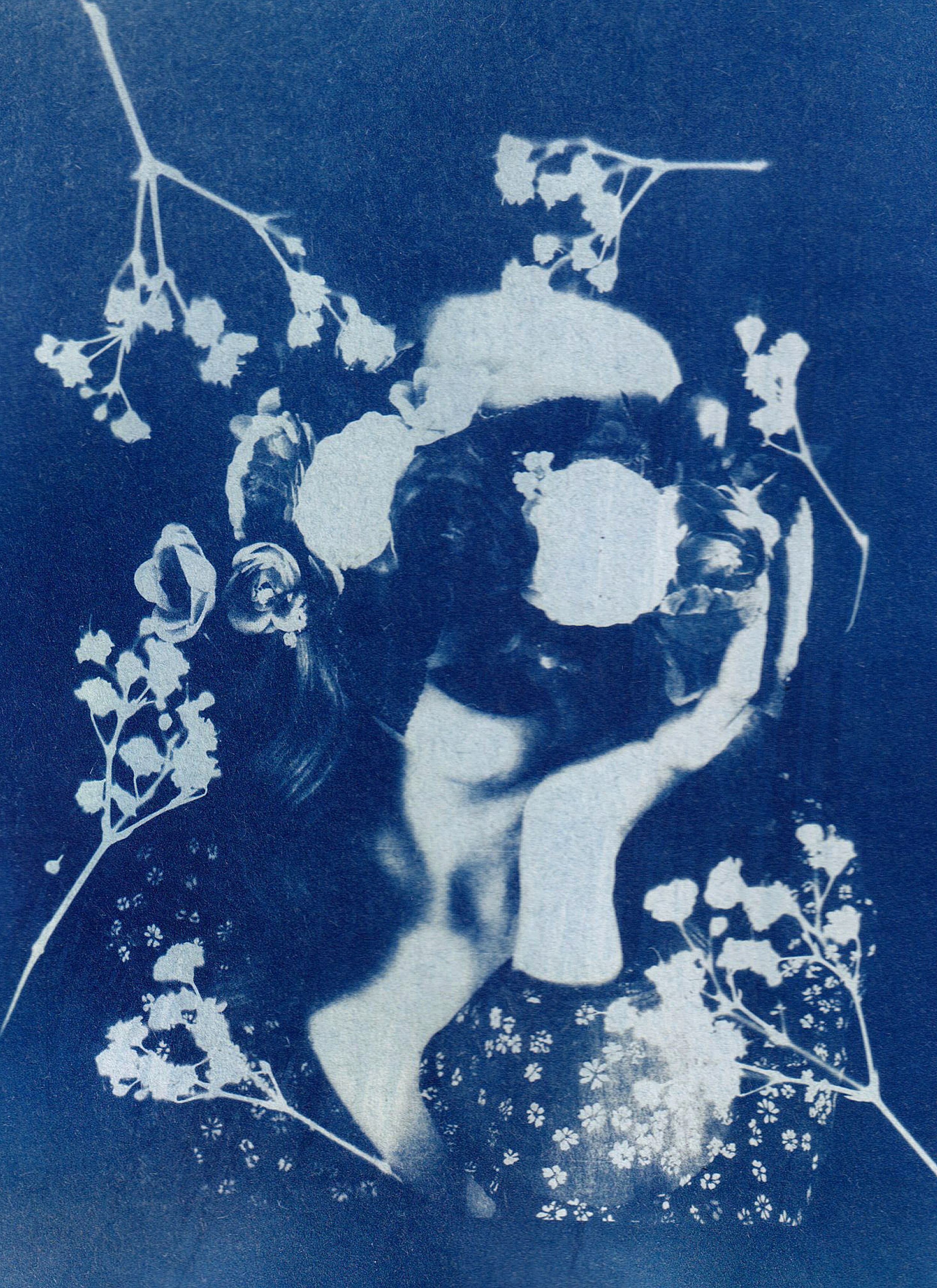 Cyanotype artwork example 2