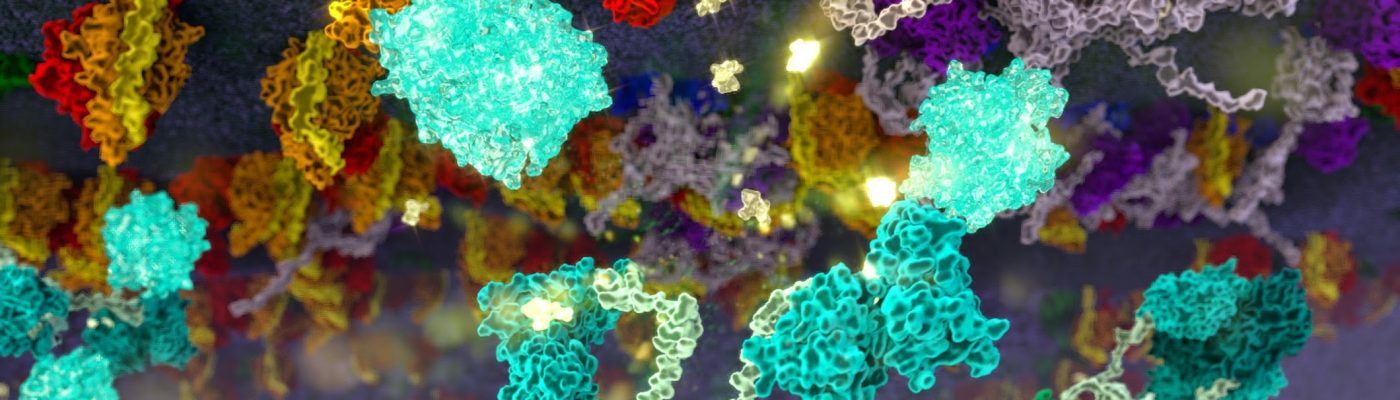 When Neurons Fire