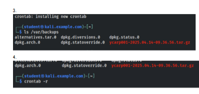 Terminal screenshot showing scheduled backup verification and compressed backup file